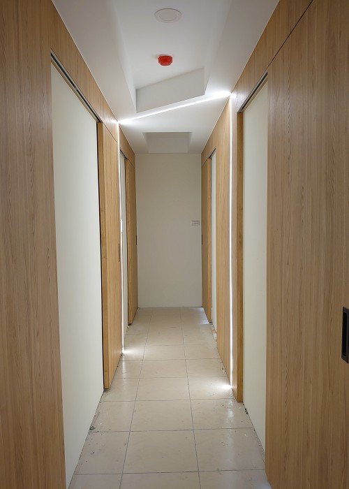Aluminum_strip_light_with_walkway_500x700