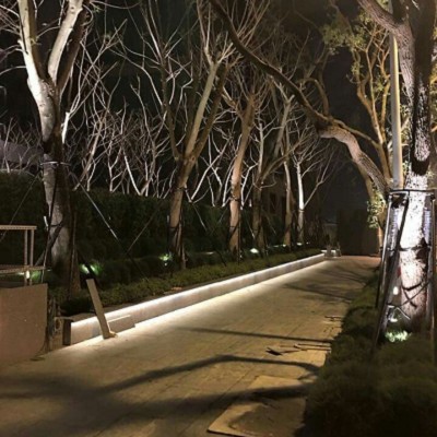 PhotoCap_015