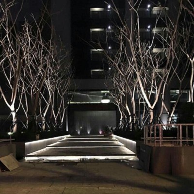 PhotoCap_016