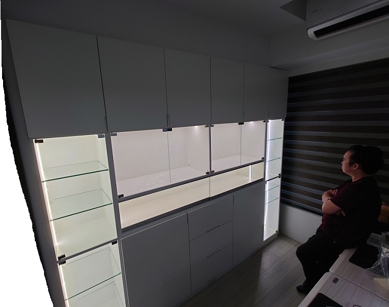 model_display_case_760_x_600